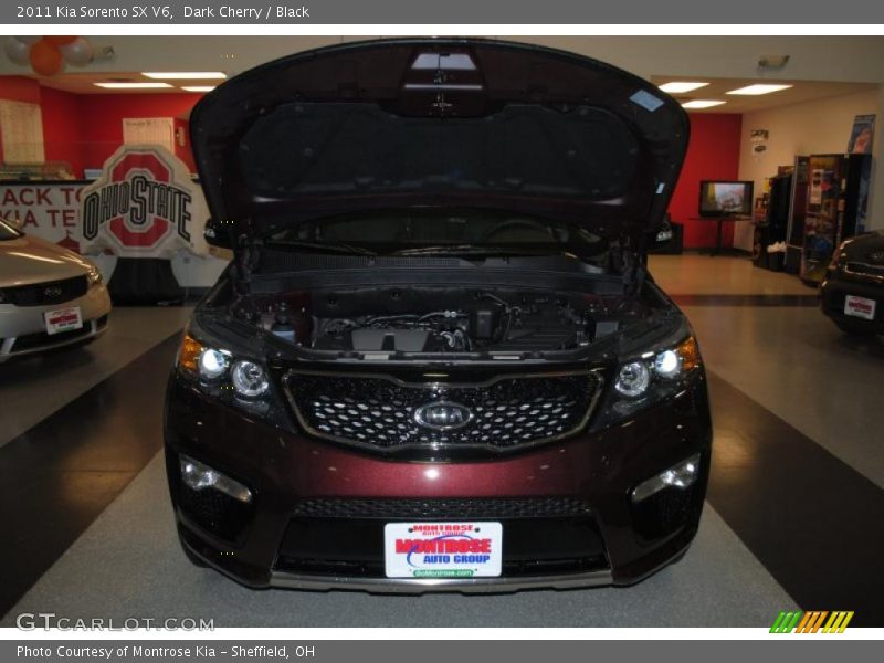 Dark Cherry / Black 2011 Kia Sorento SX V6