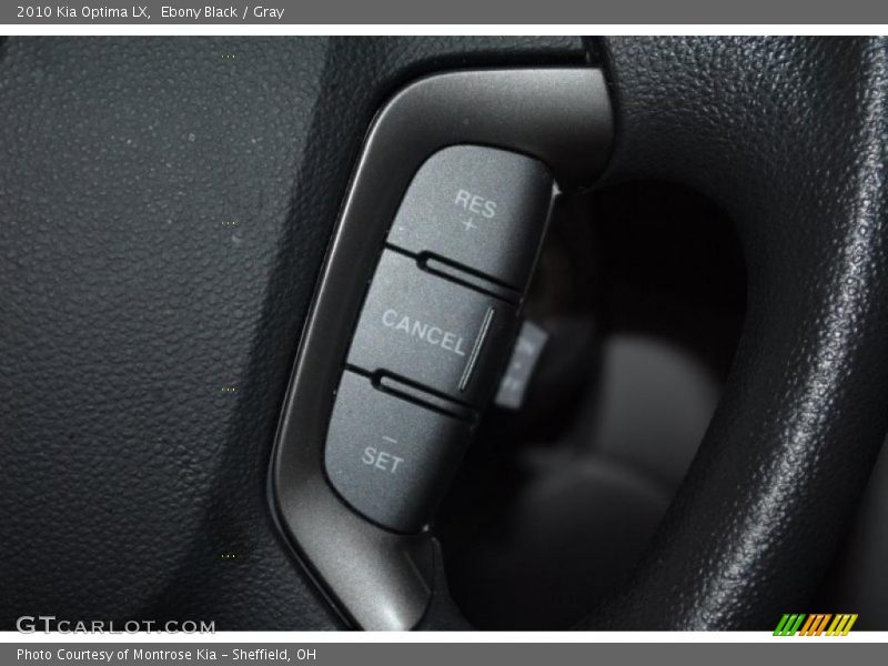 Ebony Black / Gray 2010 Kia Optima LX