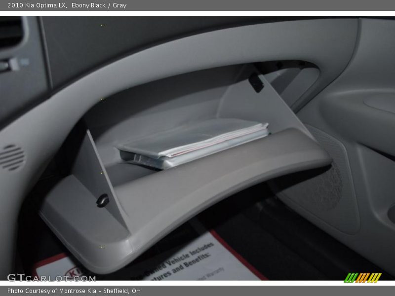 Ebony Black / Gray 2010 Kia Optima LX