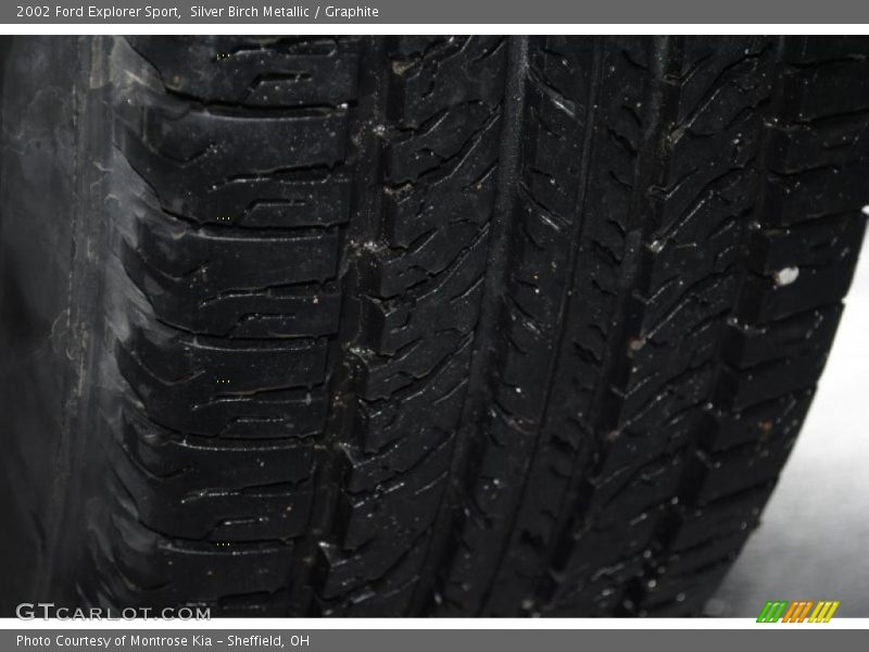 Silver Birch Metallic / Graphite 2002 Ford Explorer Sport