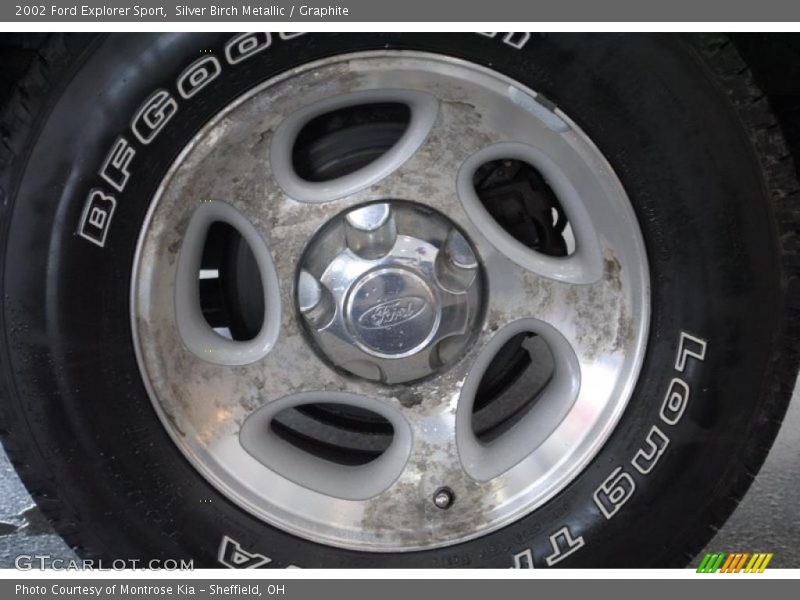 Silver Birch Metallic / Graphite 2002 Ford Explorer Sport