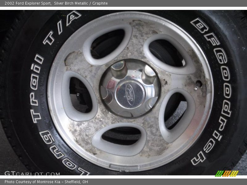 Silver Birch Metallic / Graphite 2002 Ford Explorer Sport