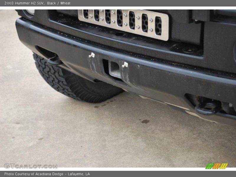 Black / Wheat 2003 Hummer H2 SUV