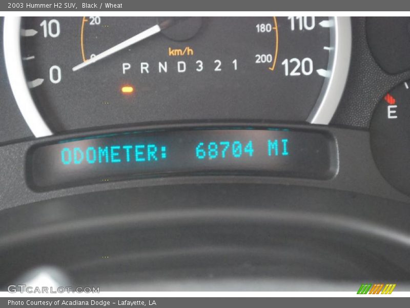 Black / Wheat 2003 Hummer H2 SUV