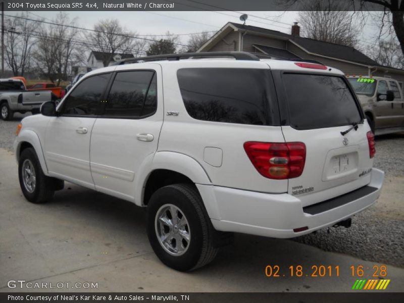 Natural White / Charcoal 2004 Toyota Sequoia SR5 4x4