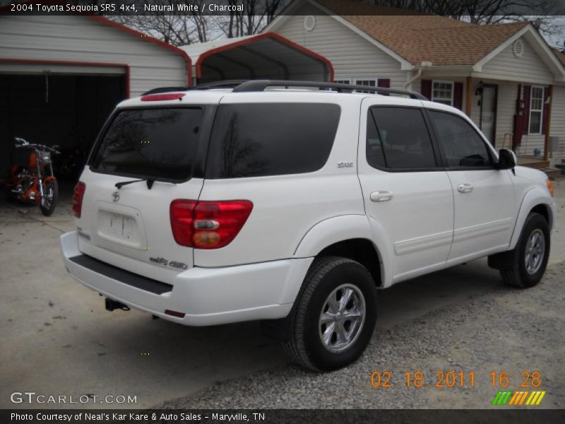 Natural White / Charcoal 2004 Toyota Sequoia SR5 4x4