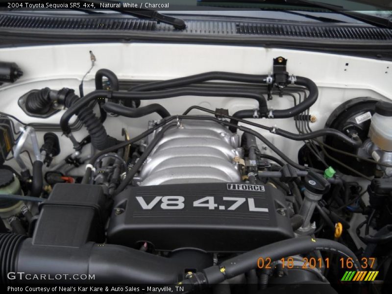 Natural White / Charcoal 2004 Toyota Sequoia SR5 4x4