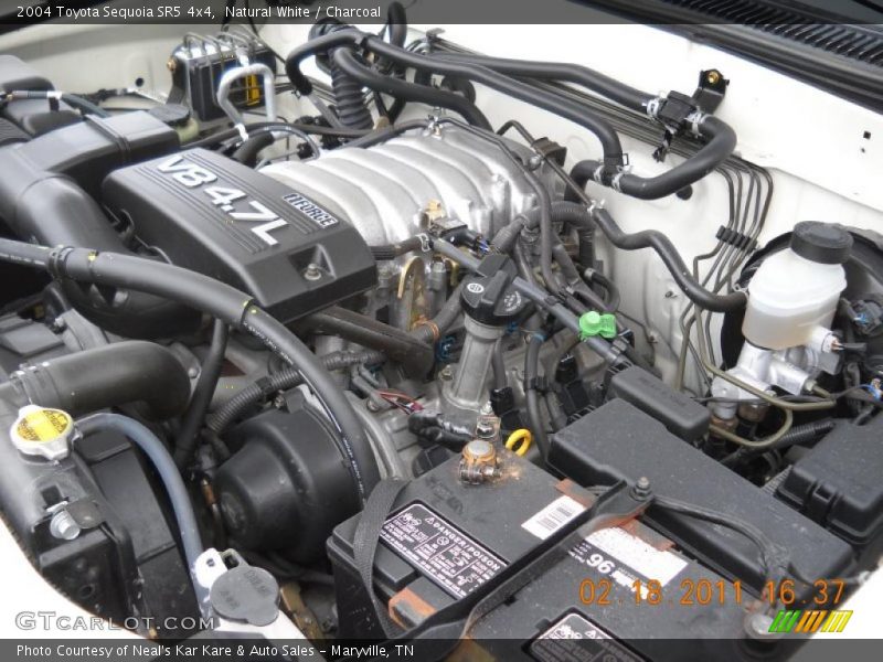 Natural White / Charcoal 2004 Toyota Sequoia SR5 4x4