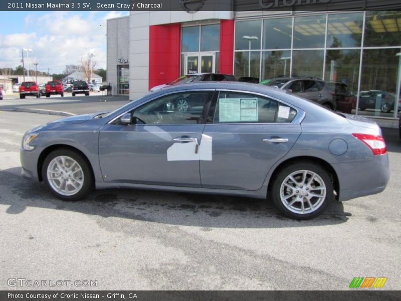 Ocean Gray / Charcoal 2011 Nissan Maxima 3.5 SV