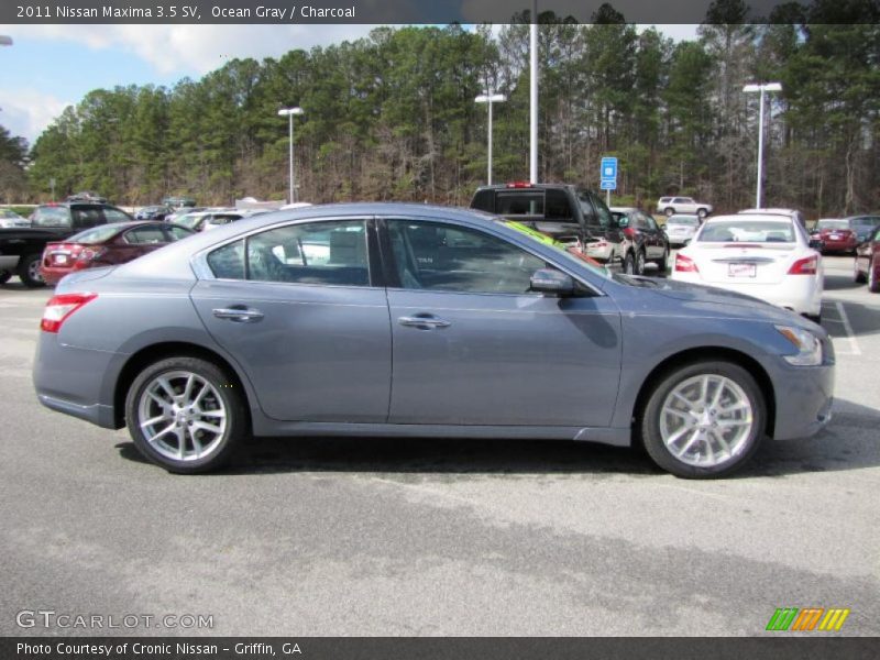 Ocean Gray / Charcoal 2011 Nissan Maxima 3.5 SV
