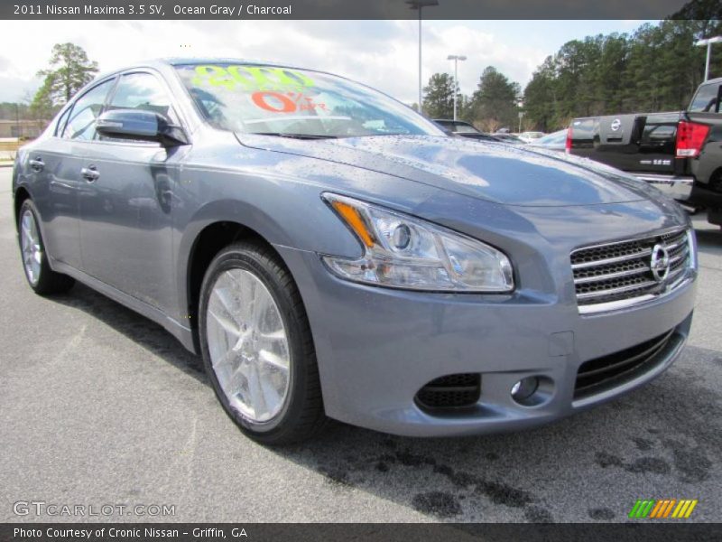 Ocean Gray / Charcoal 2011 Nissan Maxima 3.5 SV