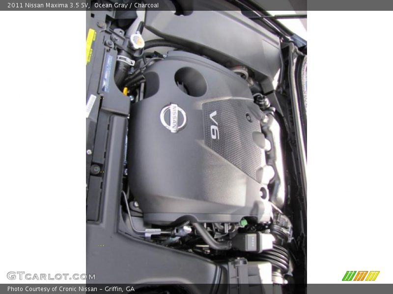 Ocean Gray / Charcoal 2011 Nissan Maxima 3.5 SV