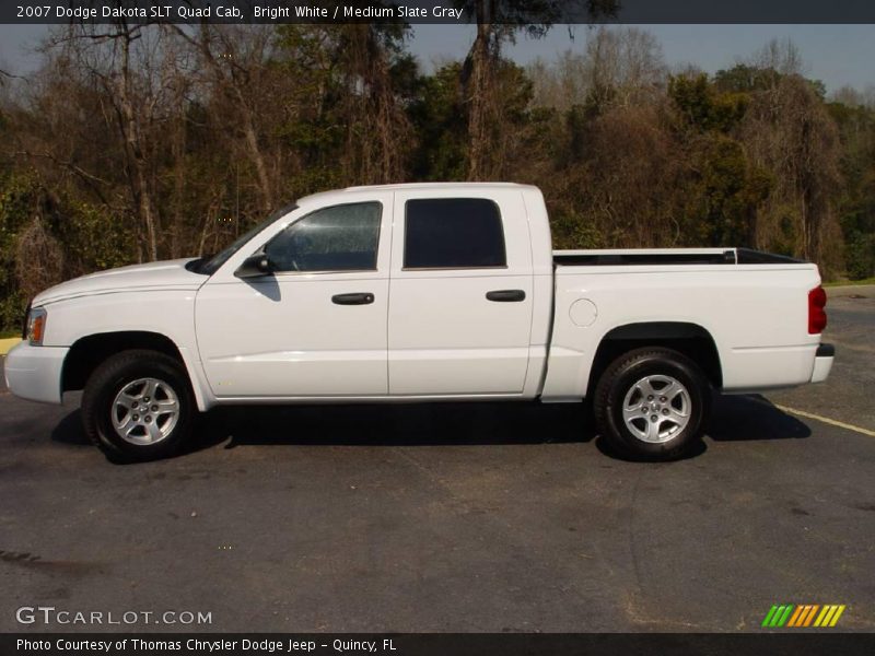 Bright White / Medium Slate Gray 2007 Dodge Dakota SLT Quad Cab