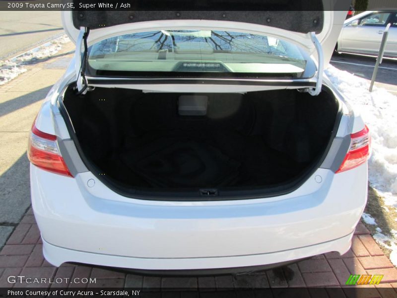 Super White / Ash 2009 Toyota Camry SE