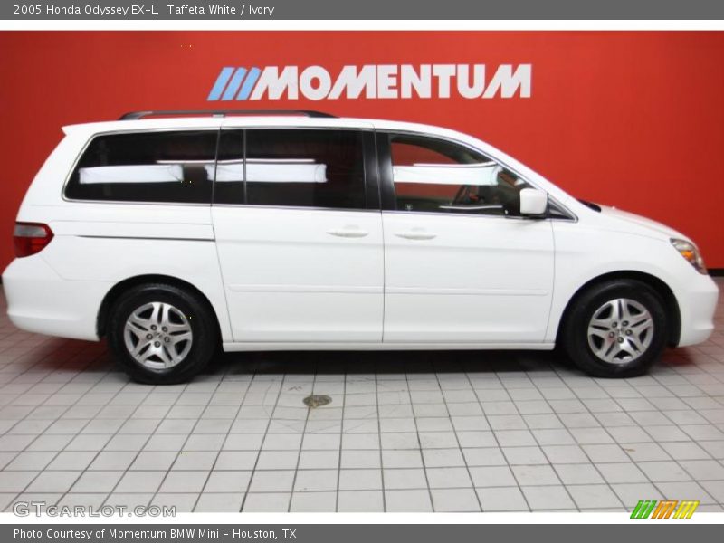 Taffeta White / Ivory 2005 Honda Odyssey EX-L