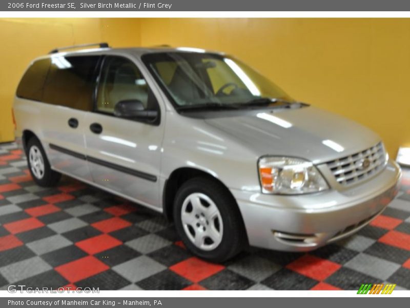 Silver Birch Metallic / Flint Grey 2006 Ford Freestar SE