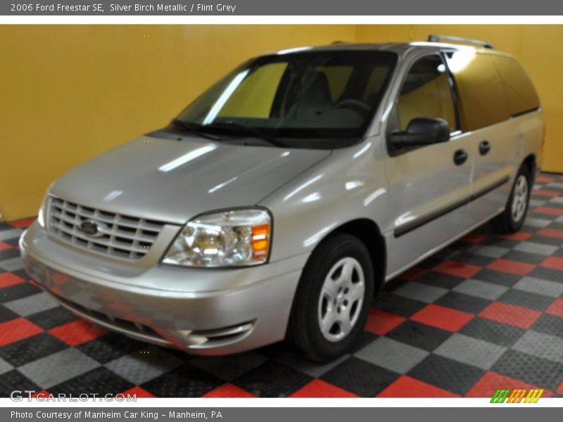 Silver Birch Metallic / Flint Grey 2006 Ford Freestar SE