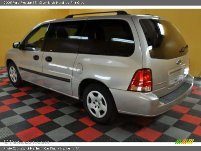 Silver Birch Metallic / Flint Grey 2006 Ford Freestar SE