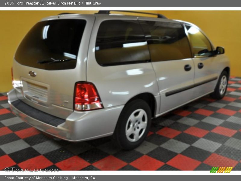 Silver Birch Metallic / Flint Grey 2006 Ford Freestar SE