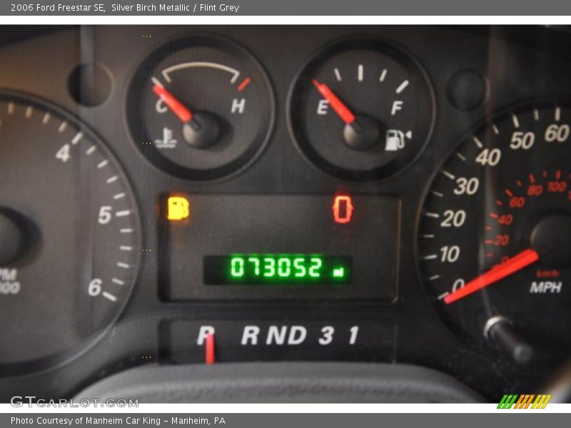 Silver Birch Metallic / Flint Grey 2006 Ford Freestar SE