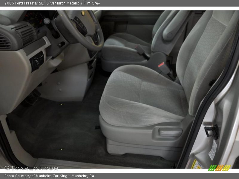Silver Birch Metallic / Flint Grey 2006 Ford Freestar SE