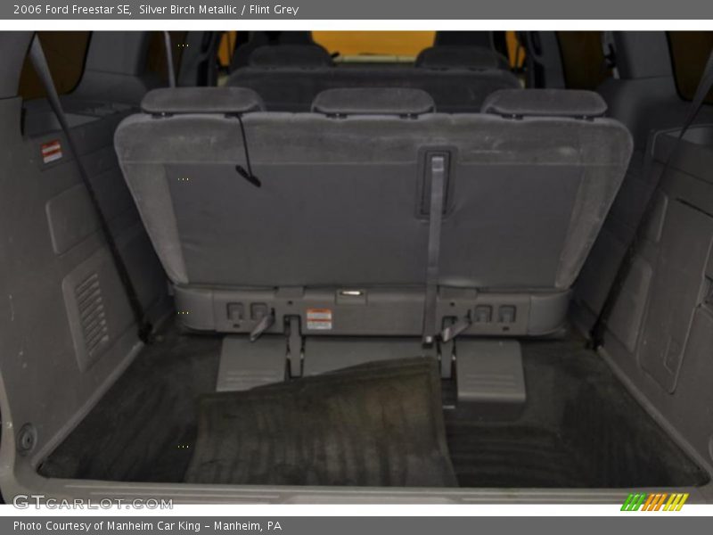 Silver Birch Metallic / Flint Grey 2006 Ford Freestar SE