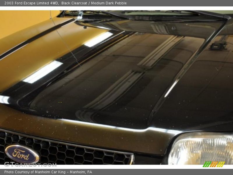 Black Clearcoat / Medium Dark Pebble 2003 Ford Escape Limited 4WD