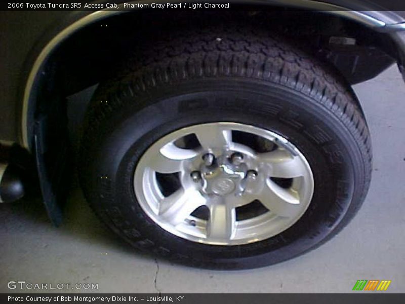Phantom Gray Pearl / Light Charcoal 2006 Toyota Tundra SR5 Access Cab