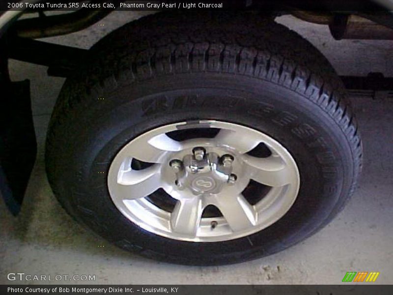 Phantom Gray Pearl / Light Charcoal 2006 Toyota Tundra SR5 Access Cab