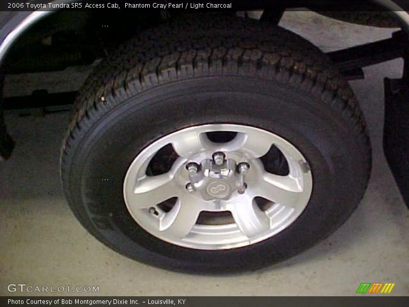 Phantom Gray Pearl / Light Charcoal 2006 Toyota Tundra SR5 Access Cab