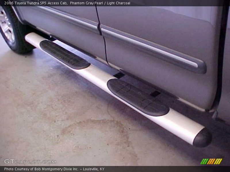 Phantom Gray Pearl / Light Charcoal 2006 Toyota Tundra SR5 Access Cab