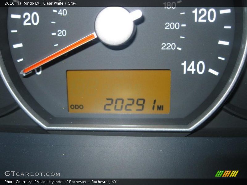 Clear White / Gray 2010 Kia Rondo LX