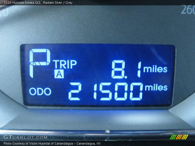 Radiant Silver / Gray 2010 Hyundai Sonata GLS