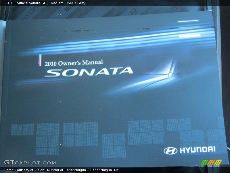 Radiant Silver / Gray 2010 Hyundai Sonata GLS