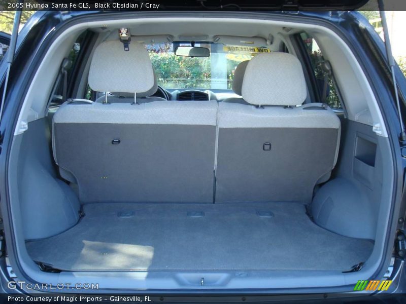 Black Obsidian / Gray 2005 Hyundai Santa Fe GLS