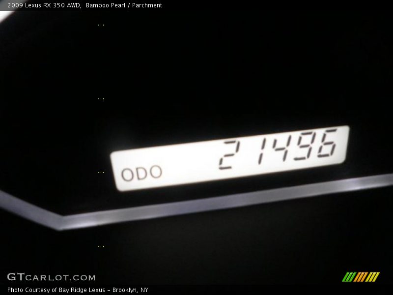 Bamboo Pearl / Parchment 2009 Lexus RX 350 AWD