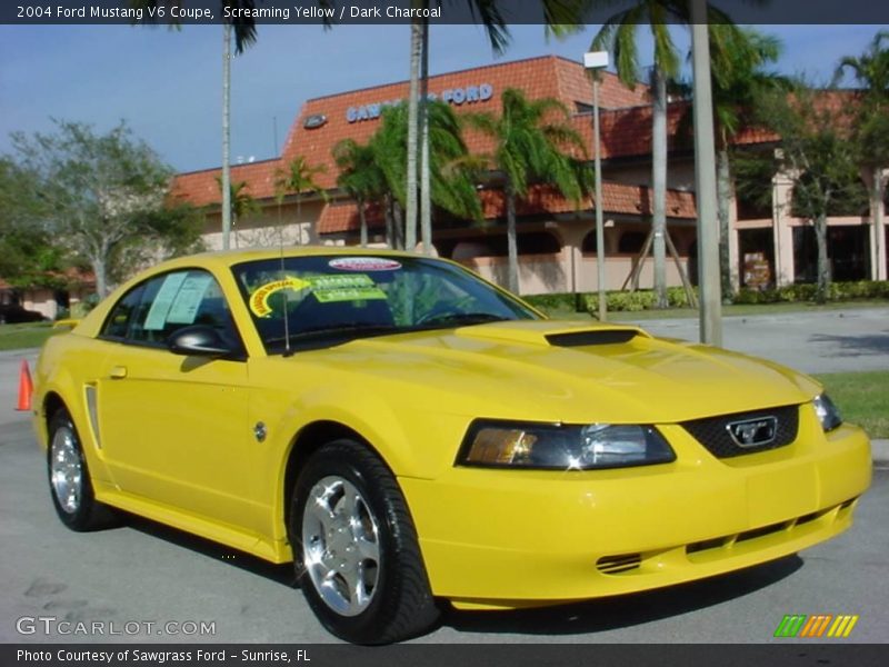 Screaming Yellow / Dark Charcoal 2004 Ford Mustang V6 Coupe