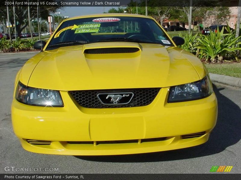 Screaming Yellow / Dark Charcoal 2004 Ford Mustang V6 Coupe