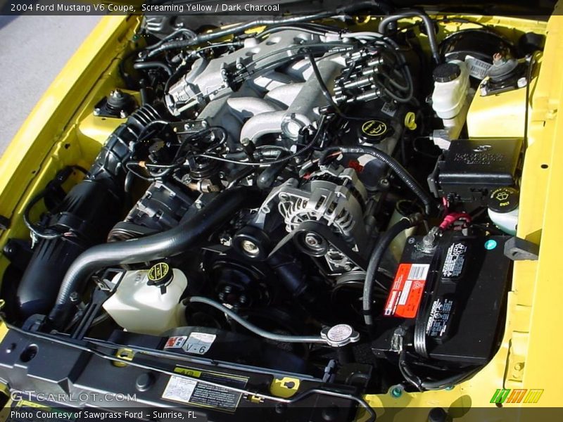 Screaming Yellow / Dark Charcoal 2004 Ford Mustang V6 Coupe