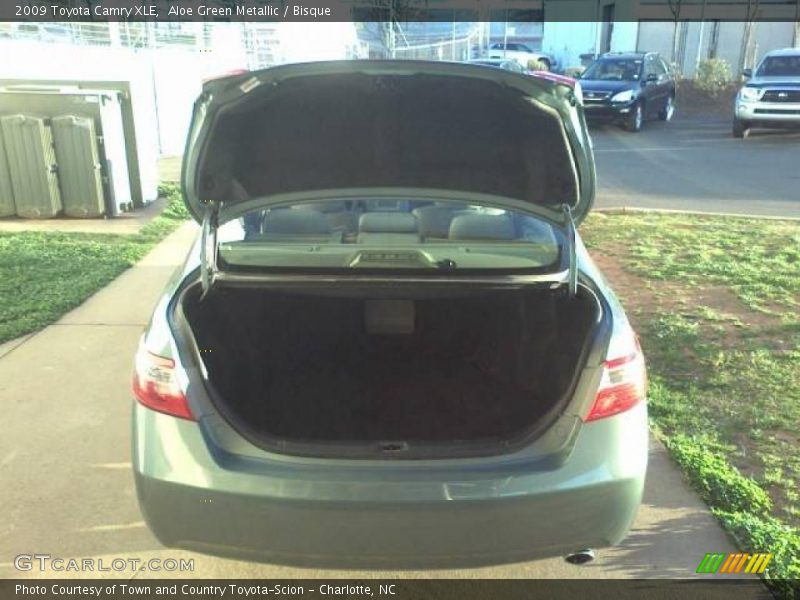 Aloe Green Metallic / Bisque 2009 Toyota Camry XLE