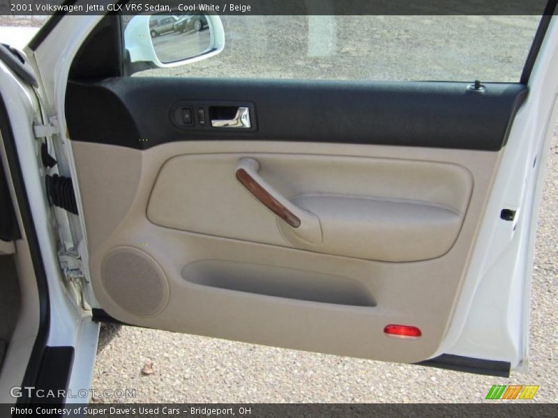 Door Panel of 2001 Jetta GLX VR6 Sedan