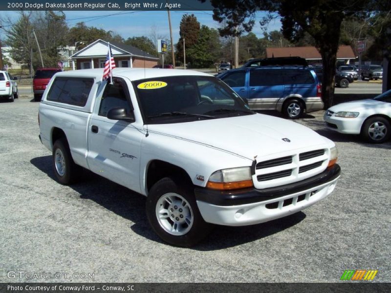 Bright White / Agate 2000 Dodge Dakota Sport Regular Cab