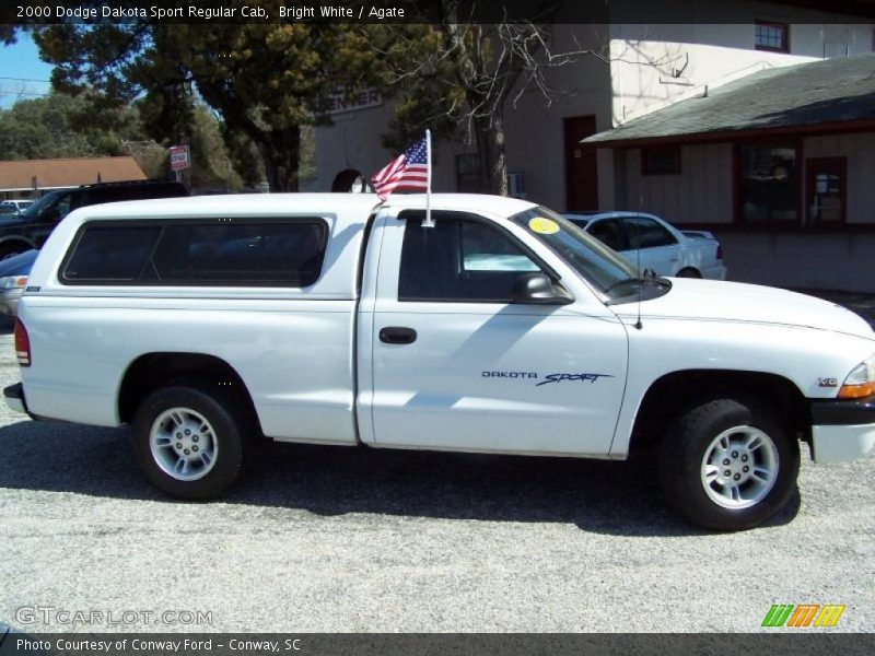 Bright White / Agate 2000 Dodge Dakota Sport Regular Cab