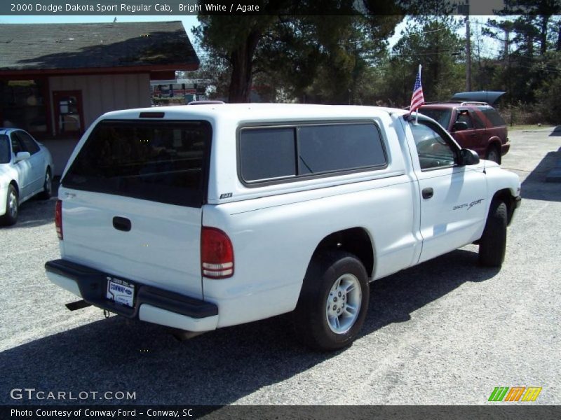 Bright White / Agate 2000 Dodge Dakota Sport Regular Cab