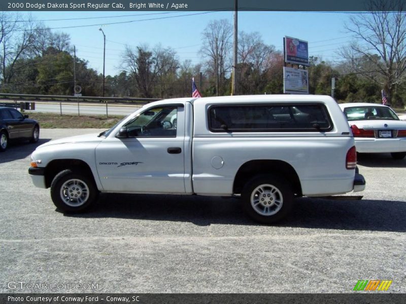 Bright White / Agate 2000 Dodge Dakota Sport Regular Cab
