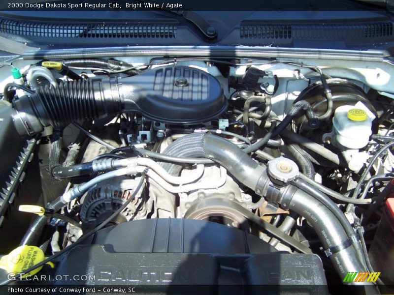 Bright White / Agate 2000 Dodge Dakota Sport Regular Cab