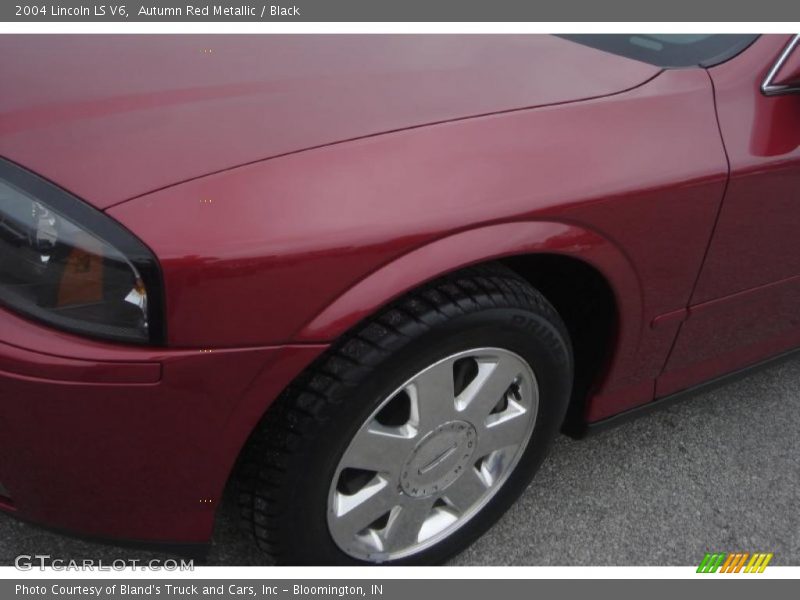 Autumn Red Metallic / Black 2004 Lincoln LS V6
