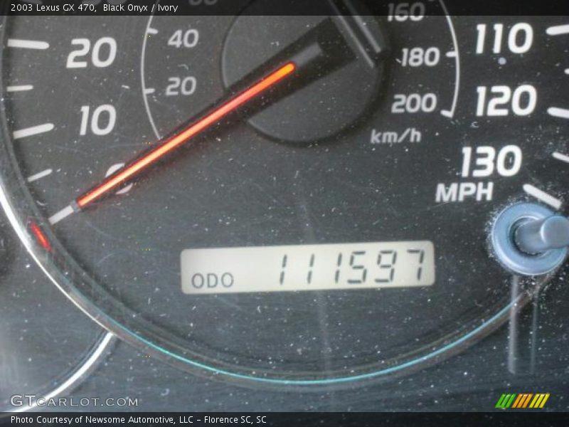 Black Onyx / Ivory 2003 Lexus GX 470