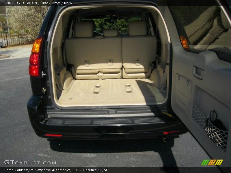 Black Onyx / Ivory 2003 Lexus GX 470