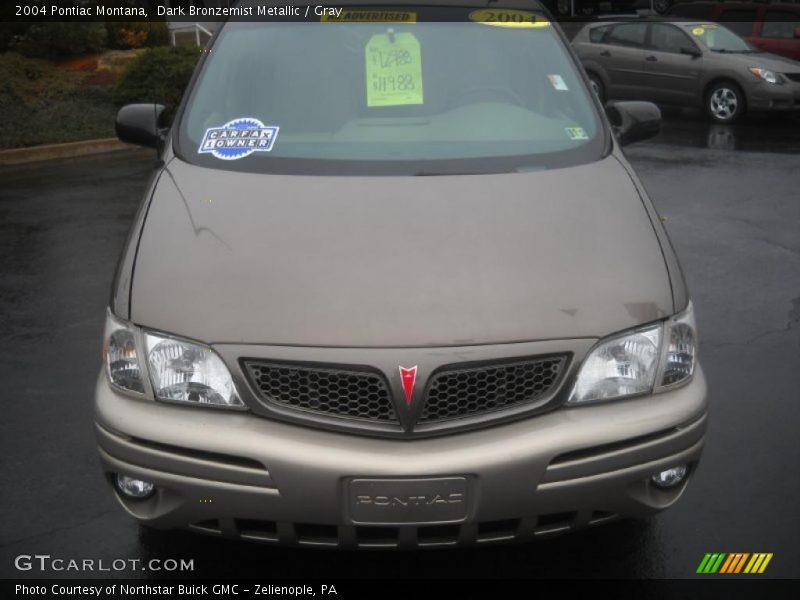 Dark Bronzemist Metallic / Gray 2004 Pontiac Montana